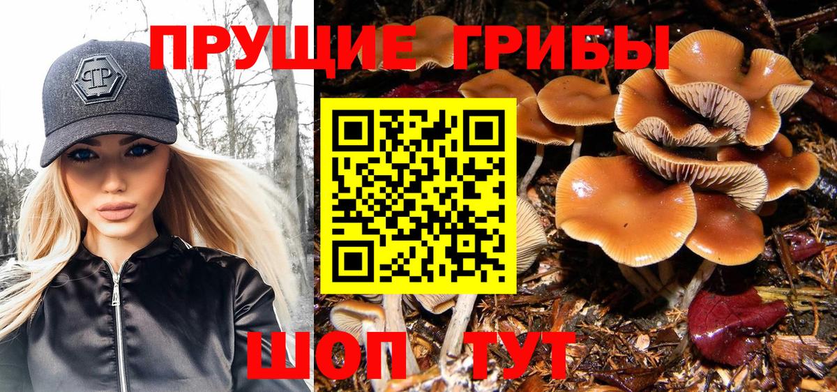 дарнет шоп  Вход с VPN  Чехов  Галлюциногенные грибы Cubensis  Псилоцибиновые грибы Cubensis 